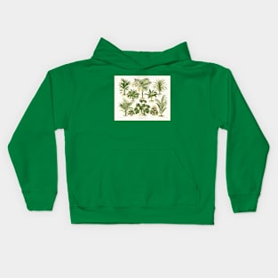 Monstera Succulent Plant Palm Tree Botanical Illustration Kids Hoodie